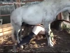 Large horse ramrods are a fun way for German milfs to fuck hard.